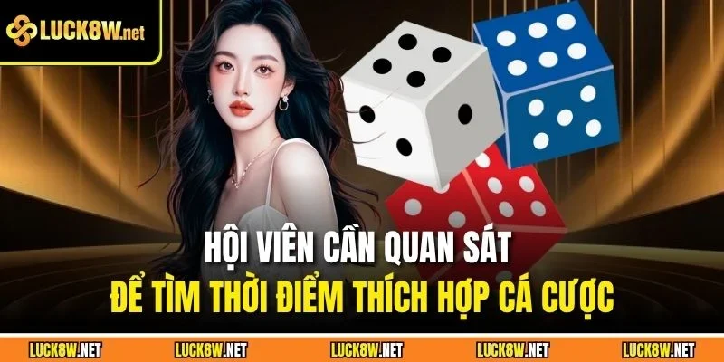 Hội viên cần quan sát để tìm thời điểm thích hợp cá cược